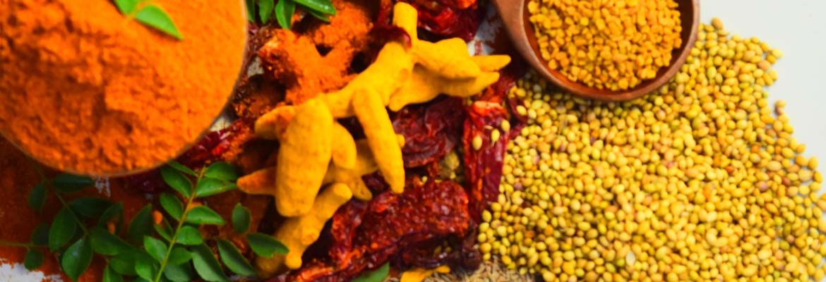 Avadata Non-Veg Masalas– Authentic Spices for Perfectly Flavored Meat & Seafood Dishes